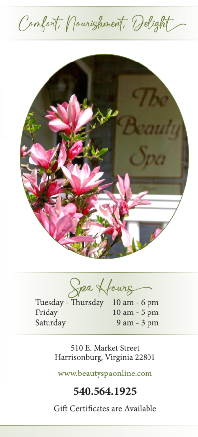 The 2025 Beauty Spa Services Brochure